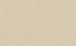 Обои 1,06*10,05м  VOG Collection VC8907-24 ВВ ГТ ФО ВОГ